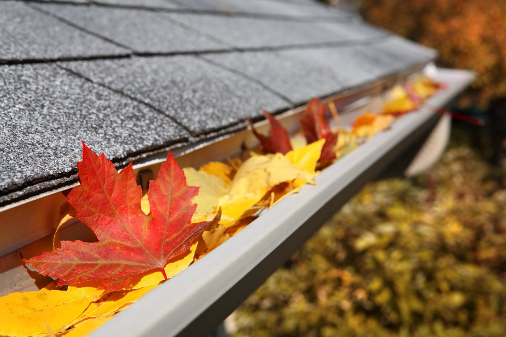 Home Maintenance Projects to Do This Fall