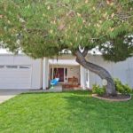 Open House